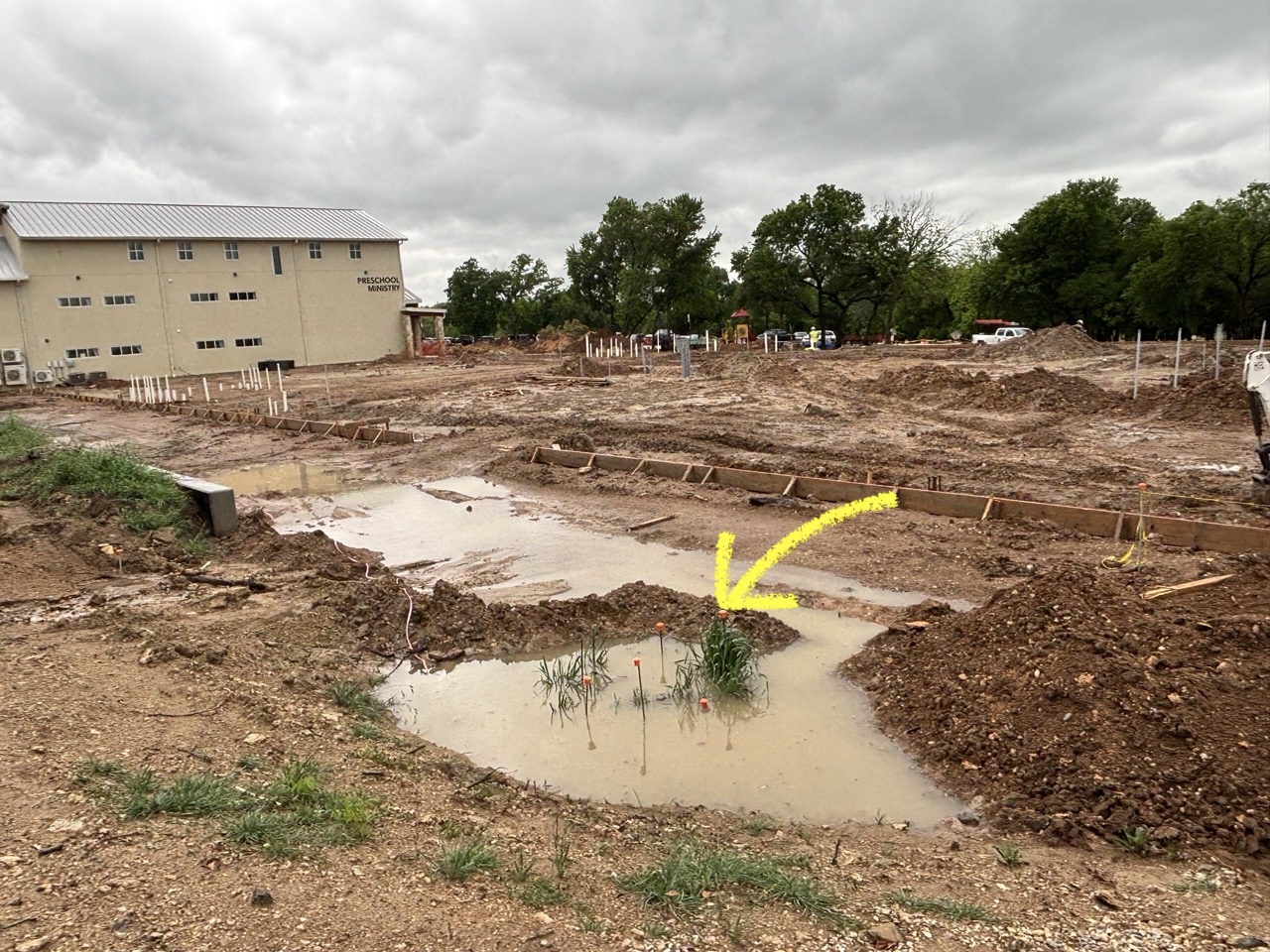 Episode 12: The One Where I Overshare About Plumbing