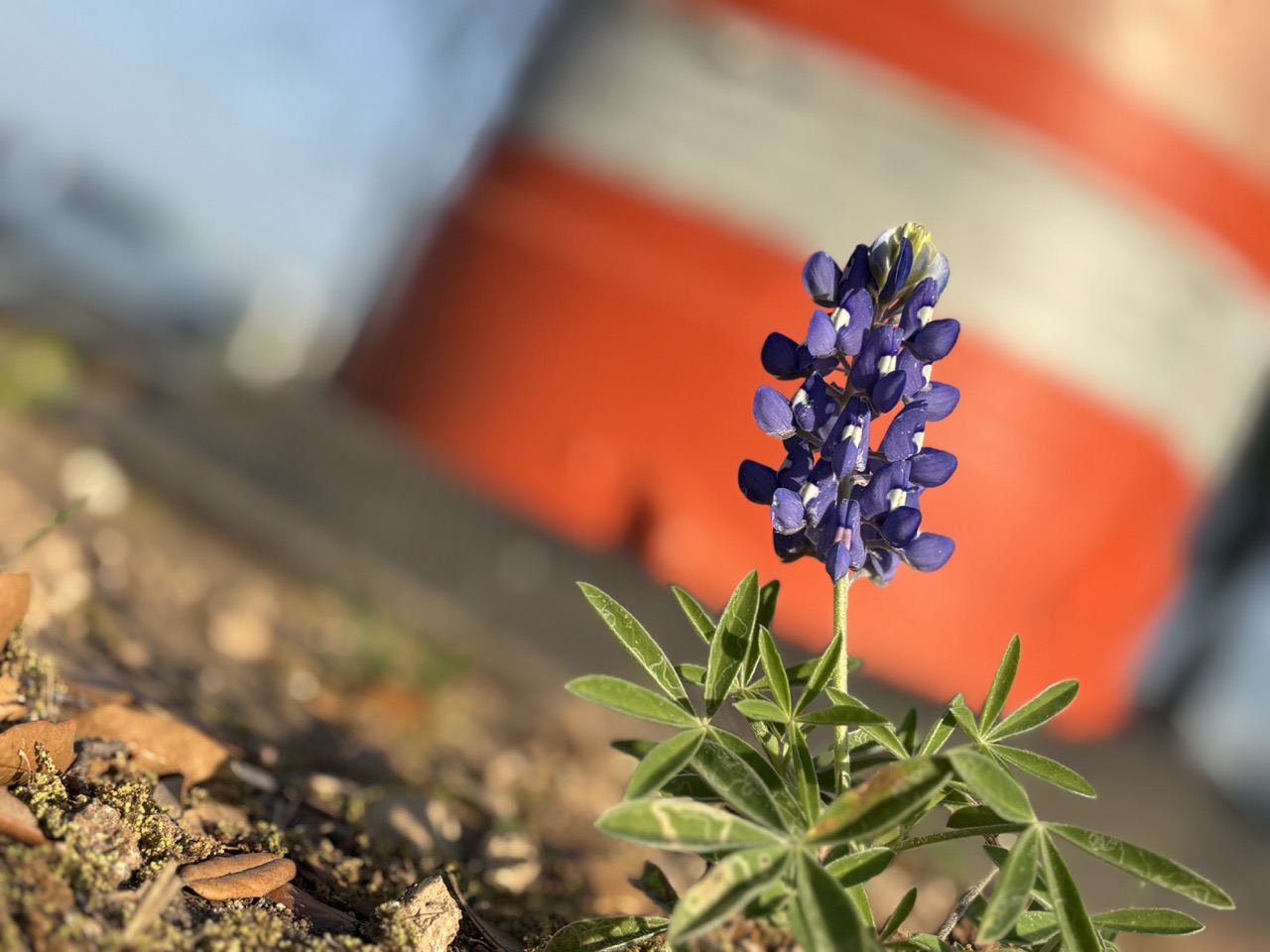 Episode 11: The Plumbing Lesson I Never Asked For