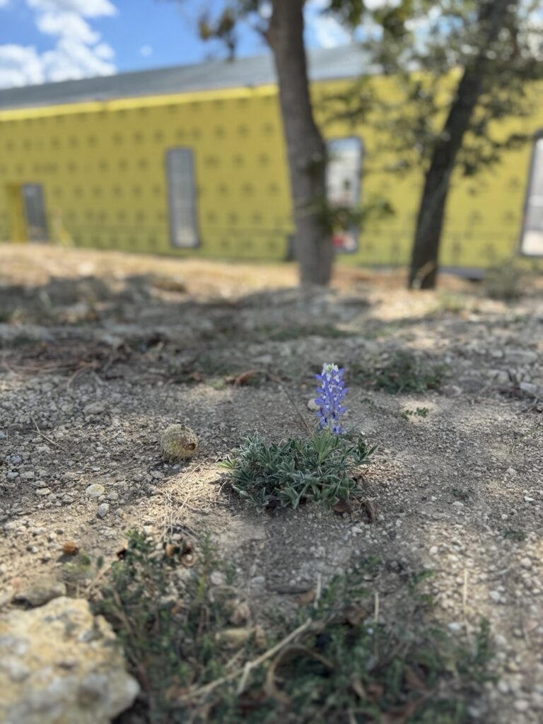 Episode 34: Coming soon… actual windows. ????