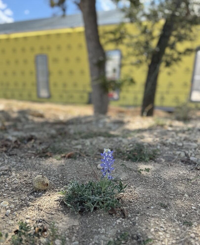 Episode 34: Coming soon… actual windows. ????