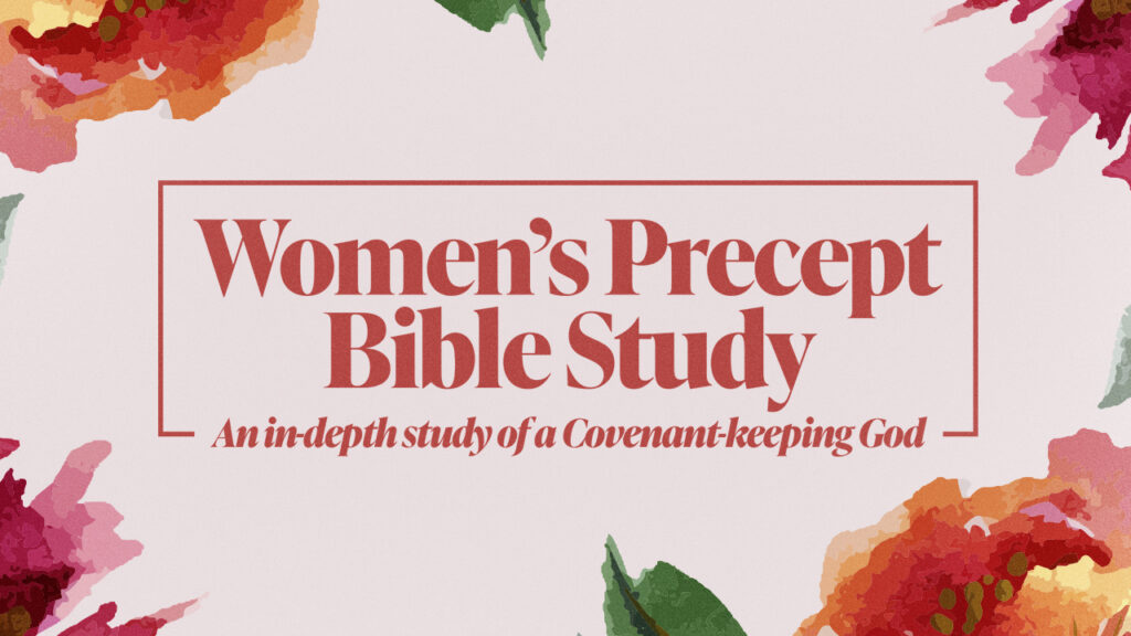 Bible Studies & Groups