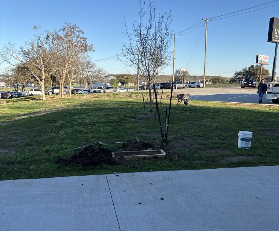 Episode 46: Bidding You Uh-Doo (Or-uh-Vuah… Whatever. I'm not French.)