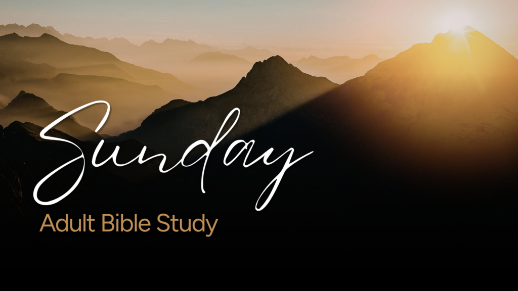 Bible Studies & Groups